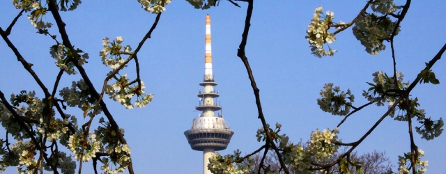 Fernsehturm